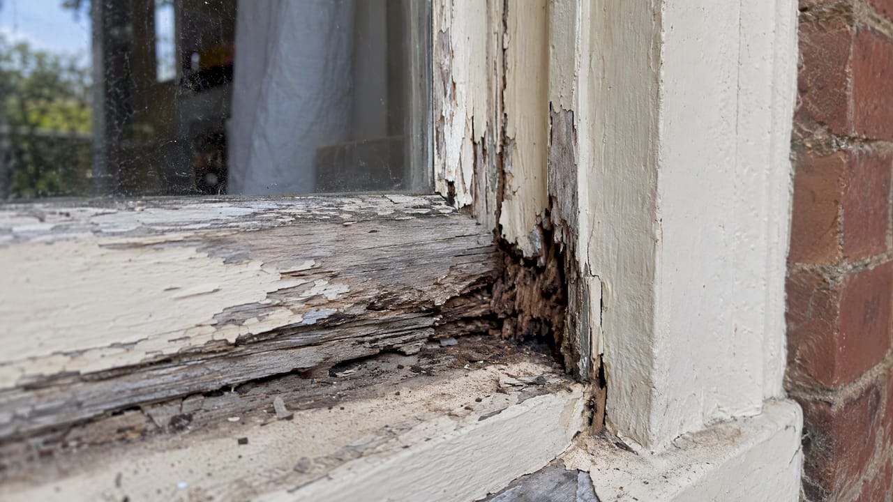 Decay in a heritage timber window sill